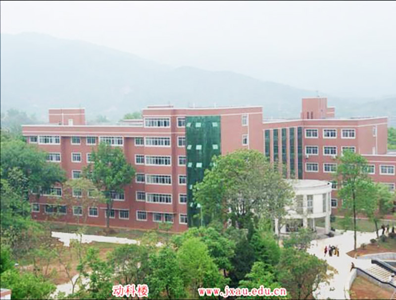 动物科学技术学院实验楼修缮.jpg