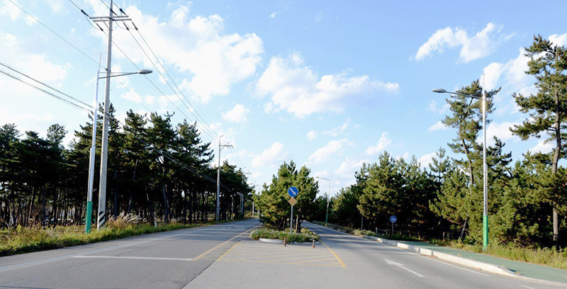 都昌县城西大道道路改扩建一期.jpg